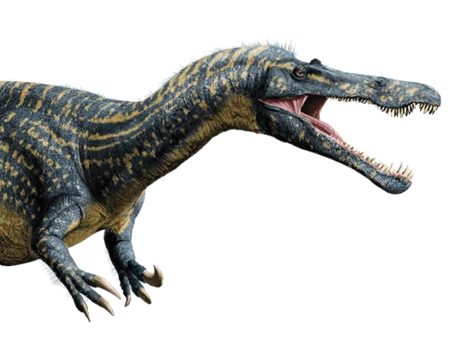 Suchomimus