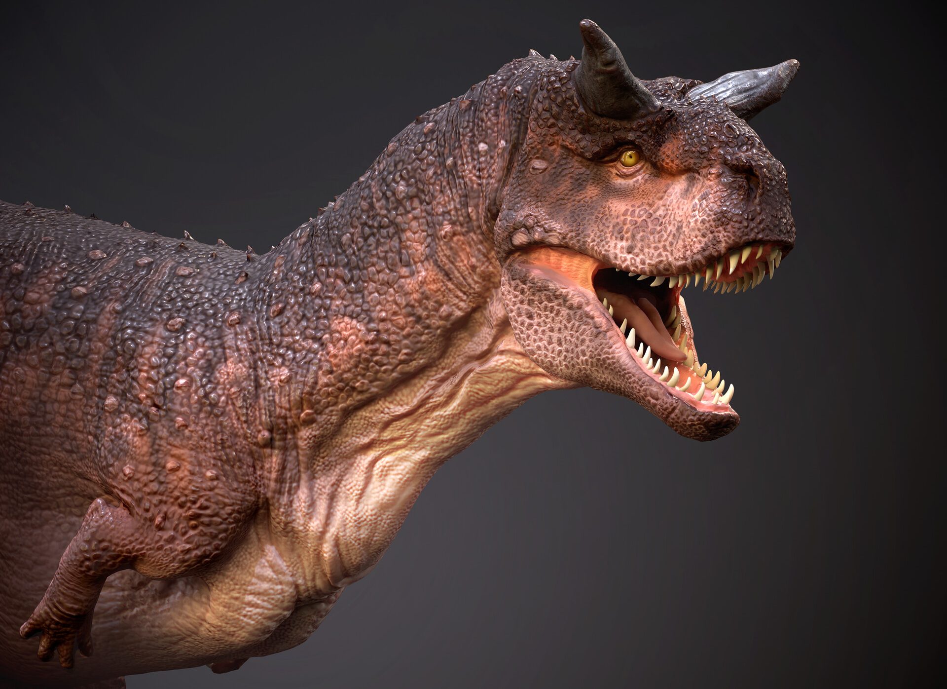 Carnotaurus – quái vật 2 sừng