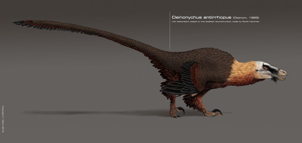 Tạo hình khủng long Deinonychus