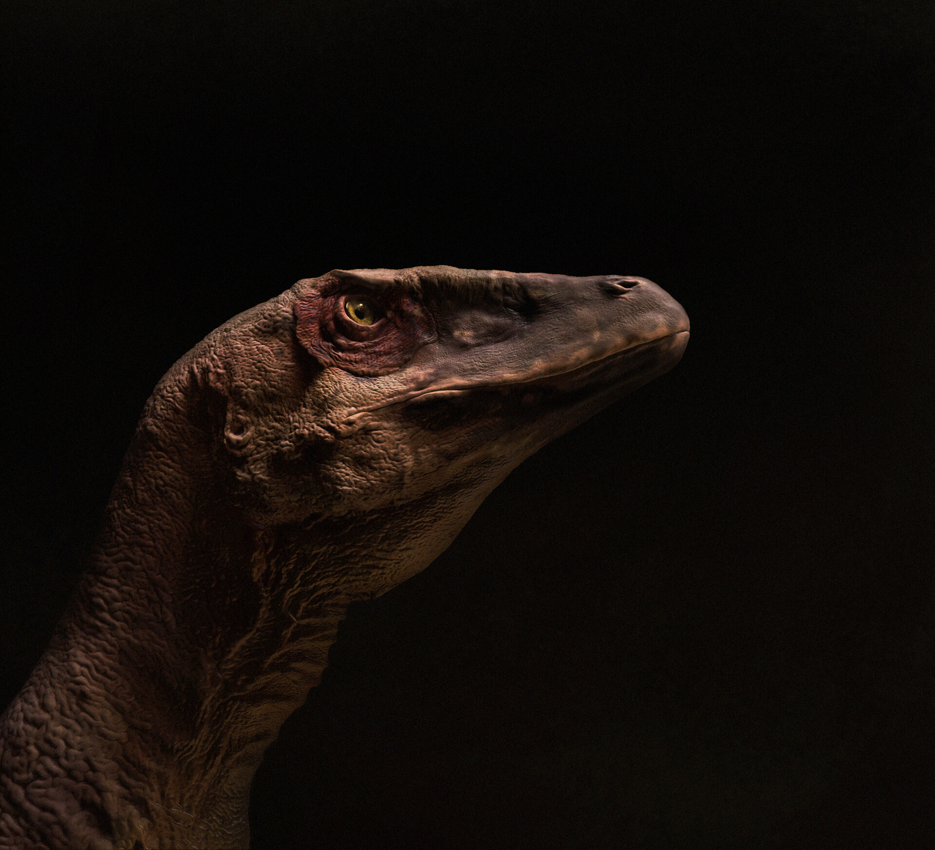 Deinonychus