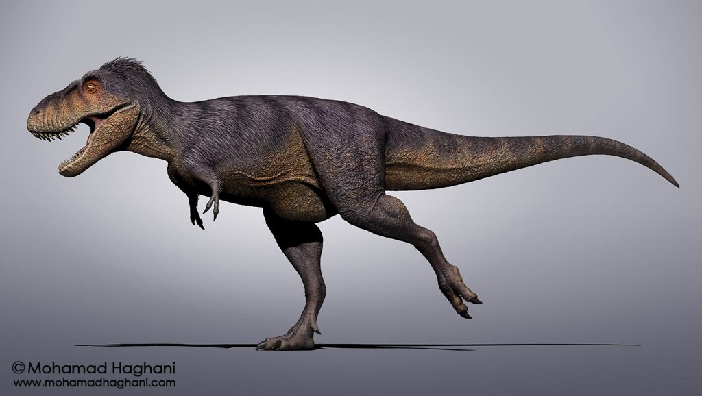 Khủng long Tarbosaurus bataar