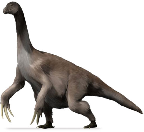 therizinosaurus model reconstruction