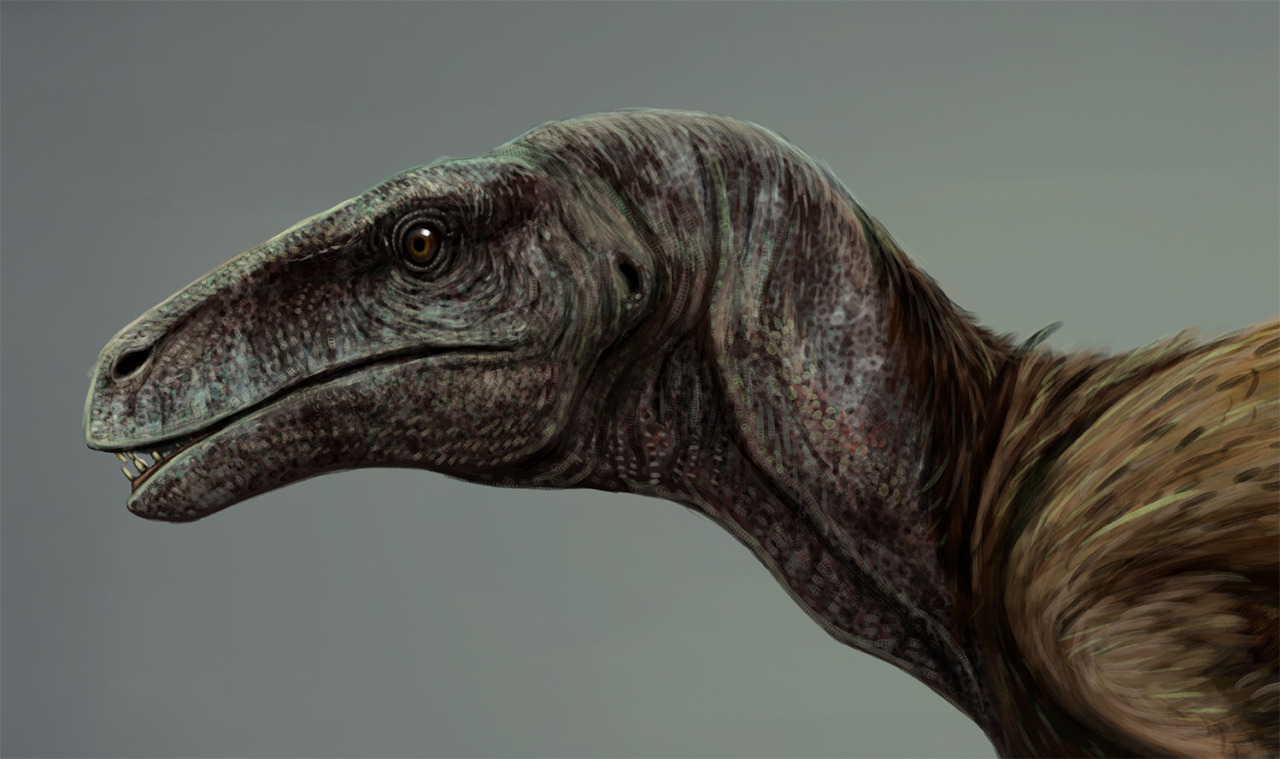 Utahraptor