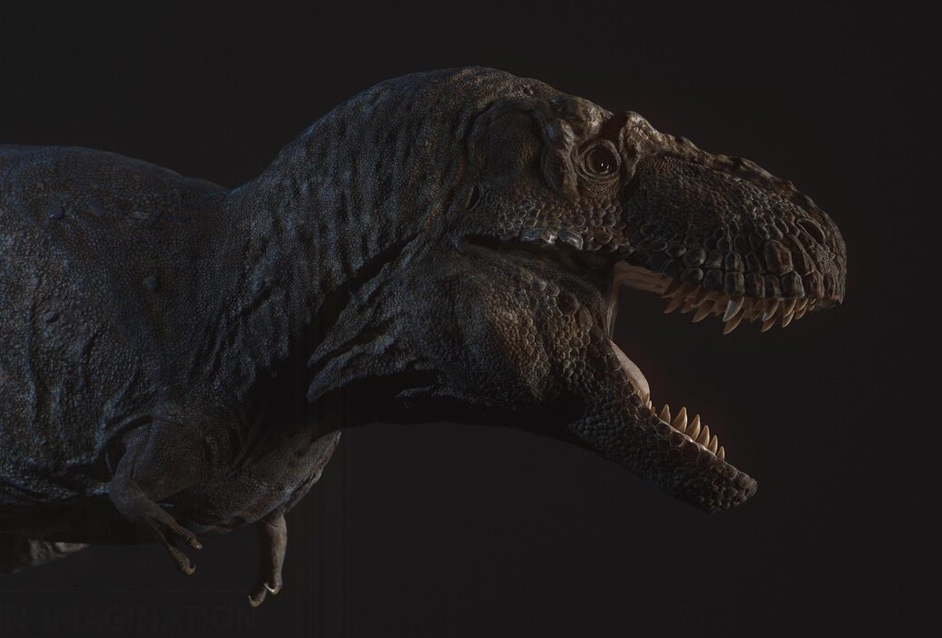 Tarbosaurus – bạo chúa miền Viễn Đông