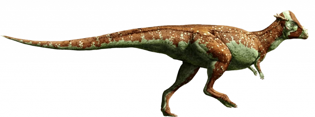 khủng long pachycephalosaurus