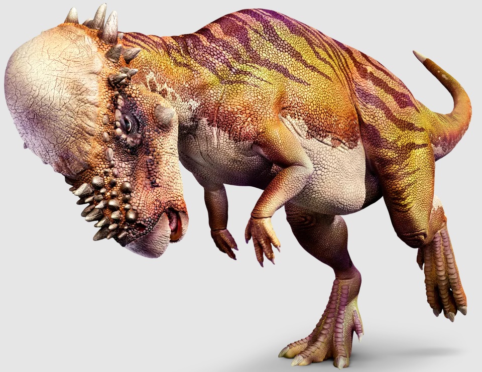 Pachycephalosaurus