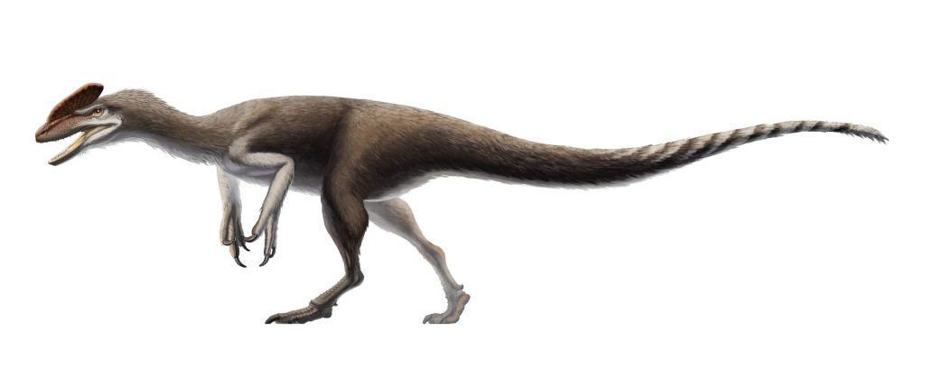 guanlong