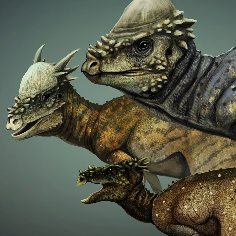 khủng long pachycephalosaurus stygimoloch dracorex