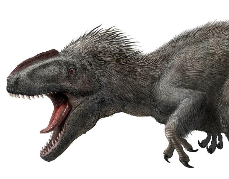 Yutyrannus