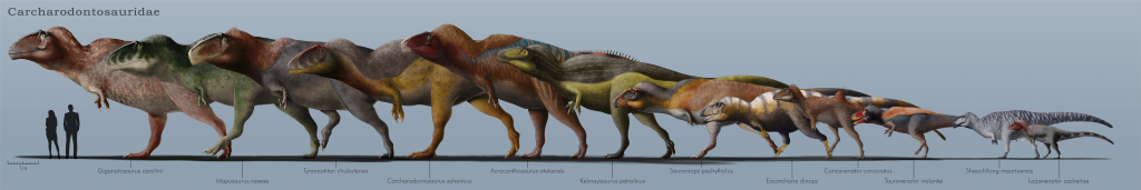 carcharodontosauridae family