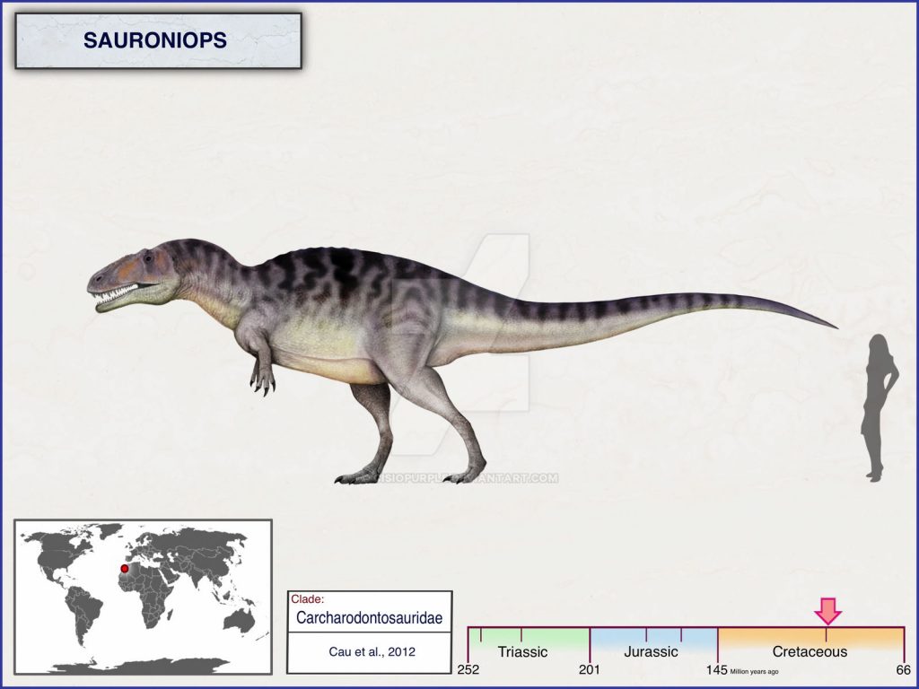 sauroniops