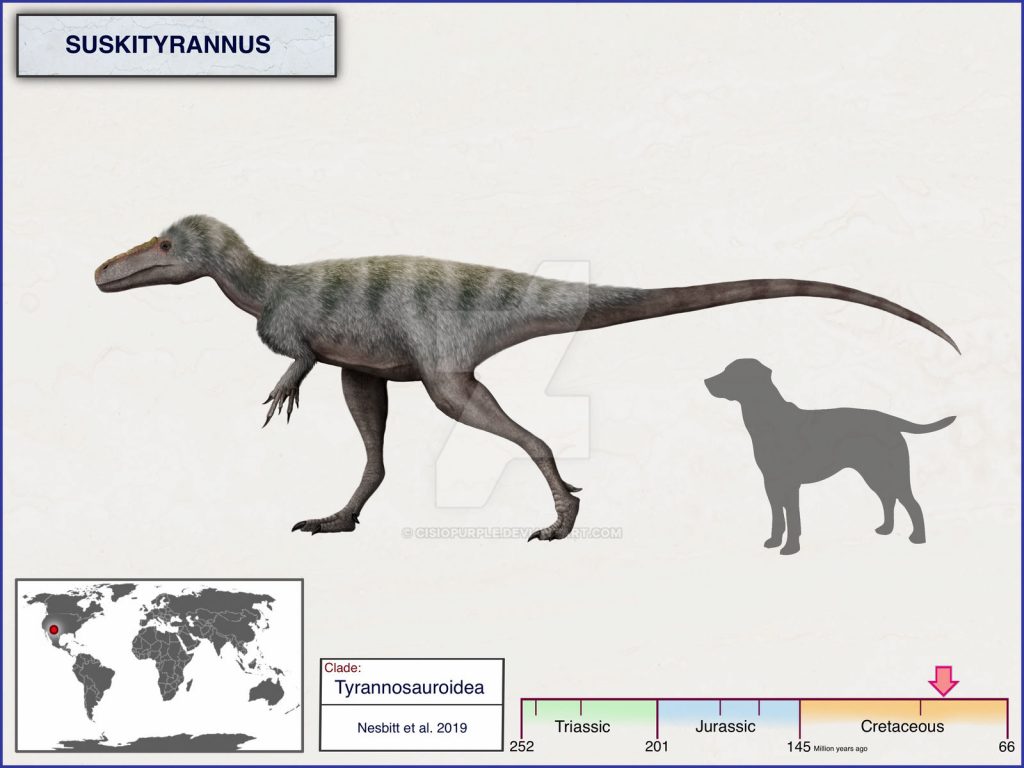 Suskityrannus, một trong những loài Tyrannosauroidea xuất hiện sớm nhất tại Bắc Mỹ