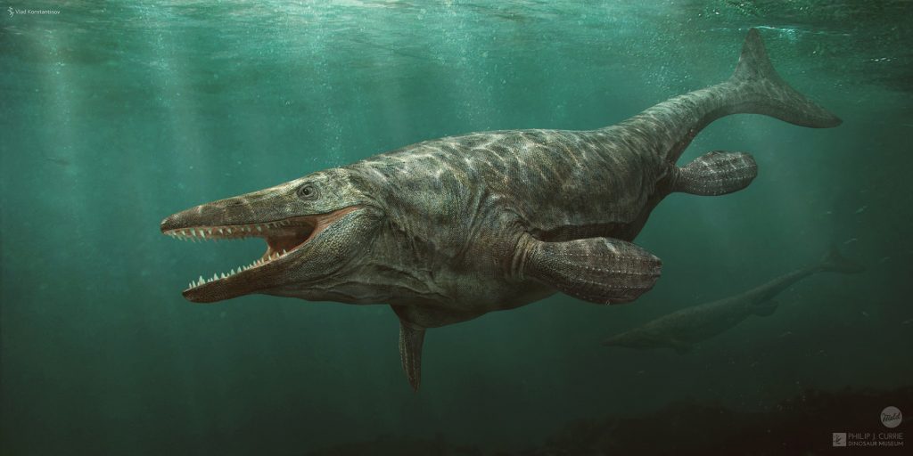 tylosaurus