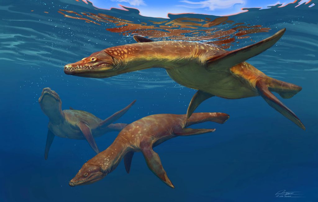 rhomaleosaurus