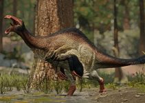 Deinocheirus và cuộc truy tìm danh tính kéo dài hơn 1/2 thế kỷ