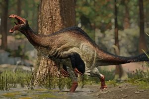 Deinocheirus và cuộc truy tìm danh tính kéo dài hơn 1/2 thế kỷ