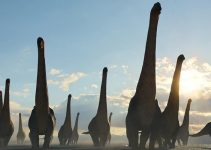 Sauropod – những kỳ quan của thế giới khủng long (phần 2)