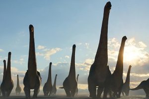 Sauropod – những kỳ quan của thế giới khủng long (phần 2)