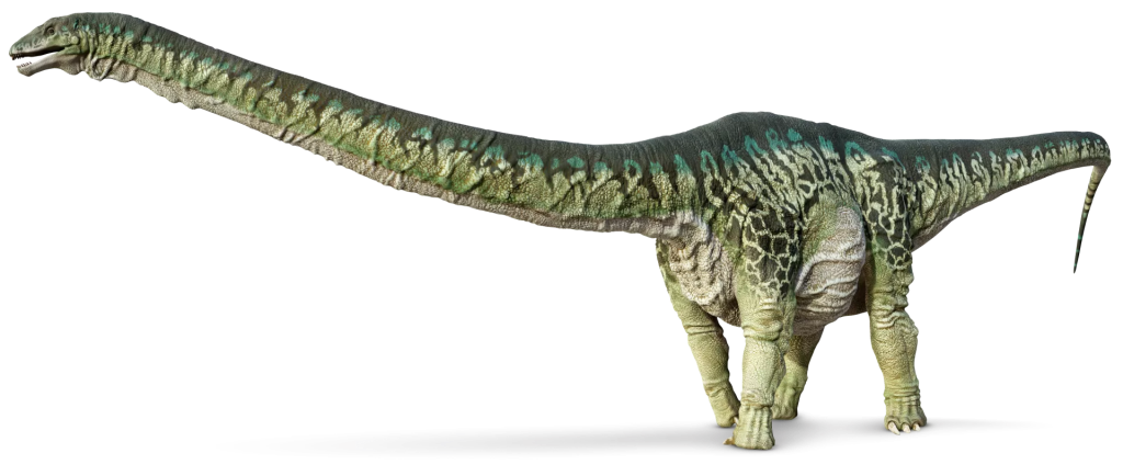 Apatosaurus